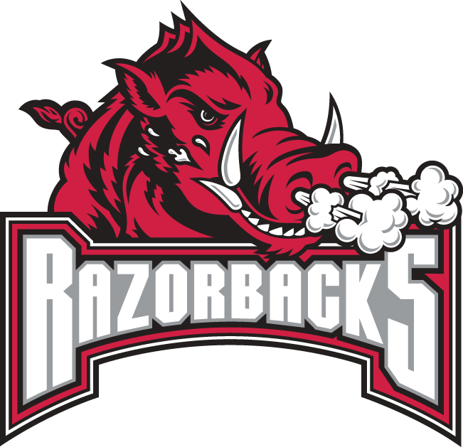Arkansas Razorbacks 2001-2008 Secondary Logo v2 iron on transfers for T-shirts